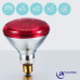 Лампа инфракрасная JK Lighting 100 Bт E27 PAR38 прессованное стекло красная